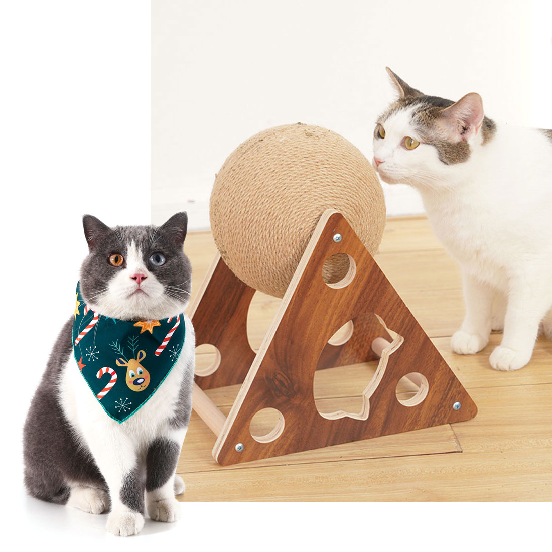 About Us Hangzhou Rena Pet Products Co., Ltd.