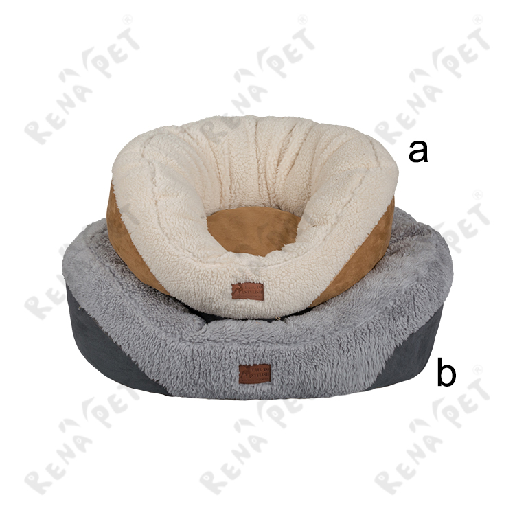 A2286